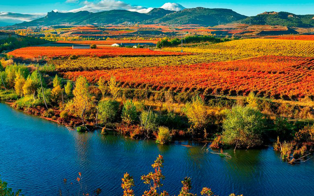 prisma renting la rioja